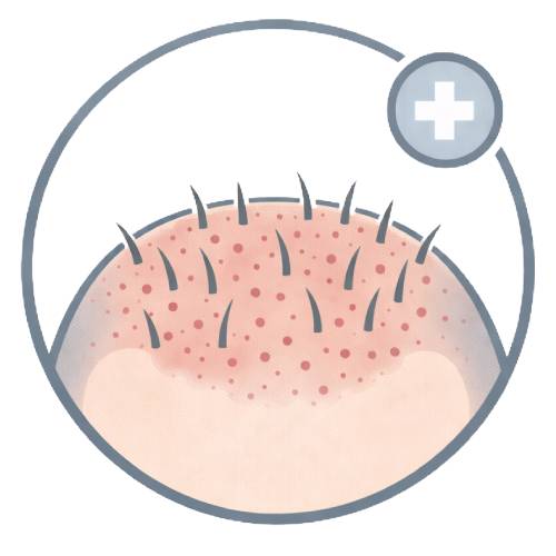 Post-Procedure Expectations