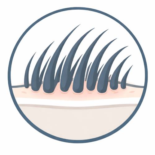 Permanent Results Appear Within 6 To 12 Months