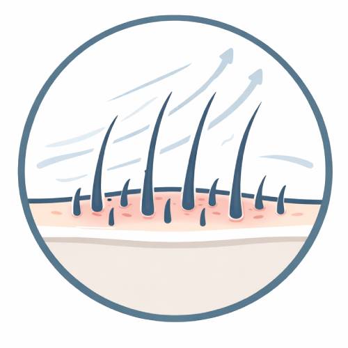 From The 3rd Month Onwards, New Hair Growth Accelerates